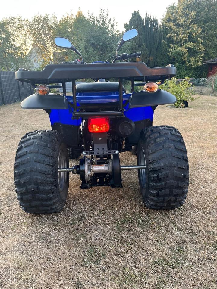 Weitere Motorräder Quad E-Ton Yukon 150 2010 — engine 149 ccm