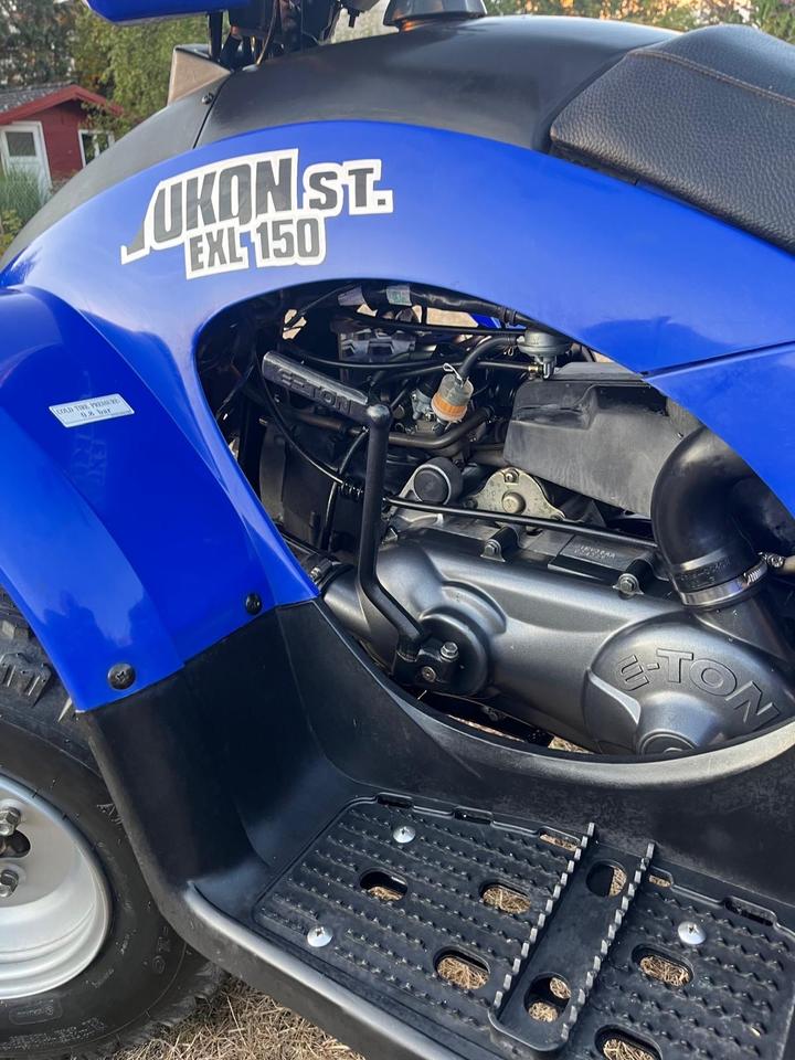 Weitere Motorräder Quad E-Ton Yukon 150 2010 — photo 8