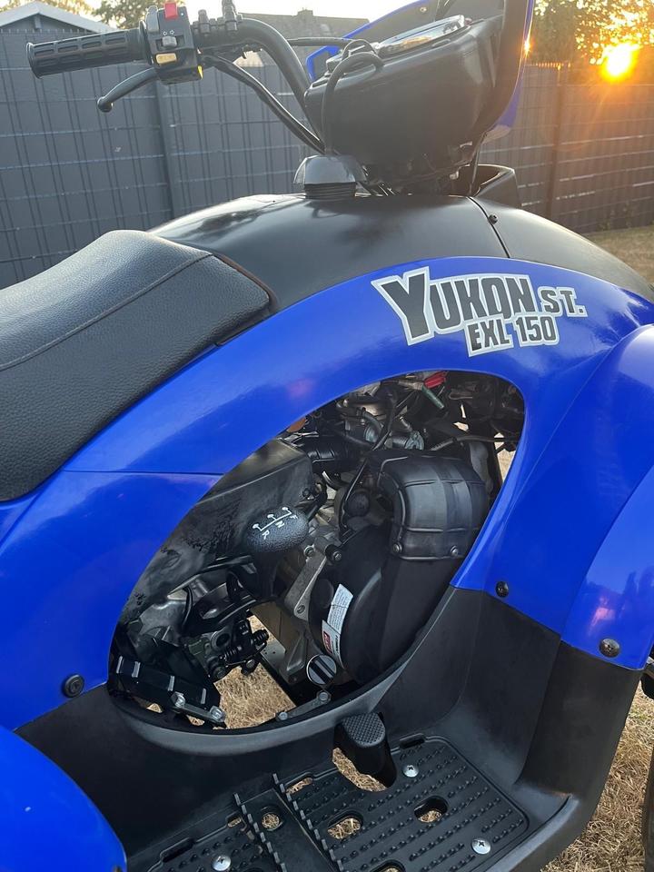 Weitere Motorräder Quad E-Ton Yukon 150 2010 — photo 9