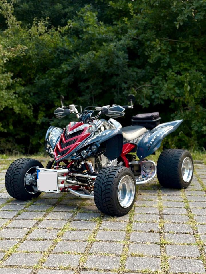 Yamaha Quad 2009 — rear view