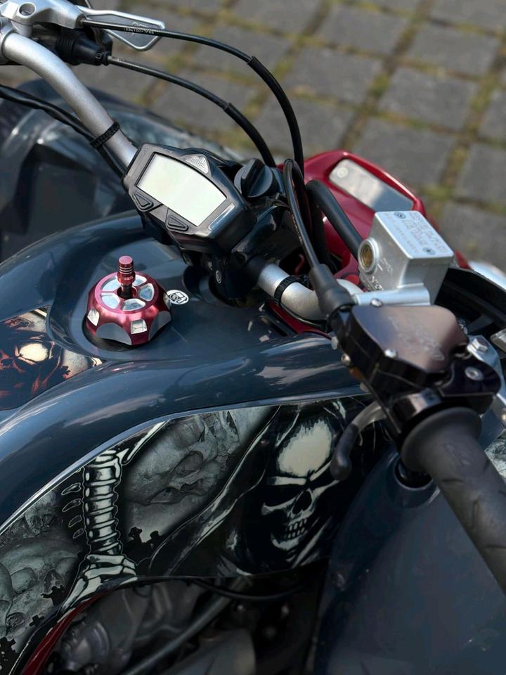 Yamaha Quad 2009 — photo 9