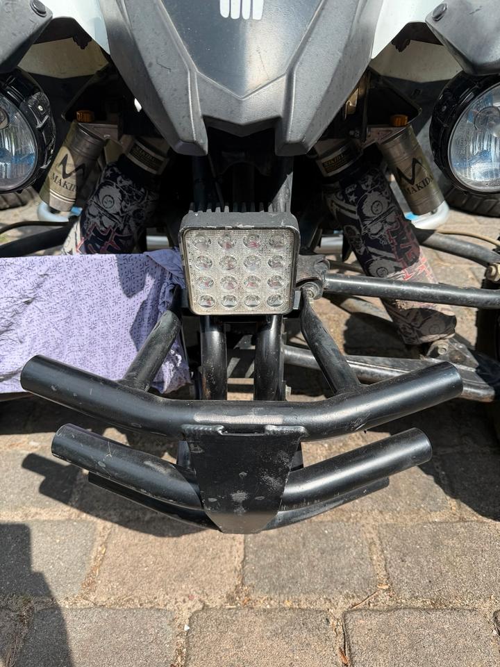 Weitere Motorräder Quad Beeline Bestia 5.5 (Adly,Polaris) Kein Can Am 2012 — вигляд ззаду