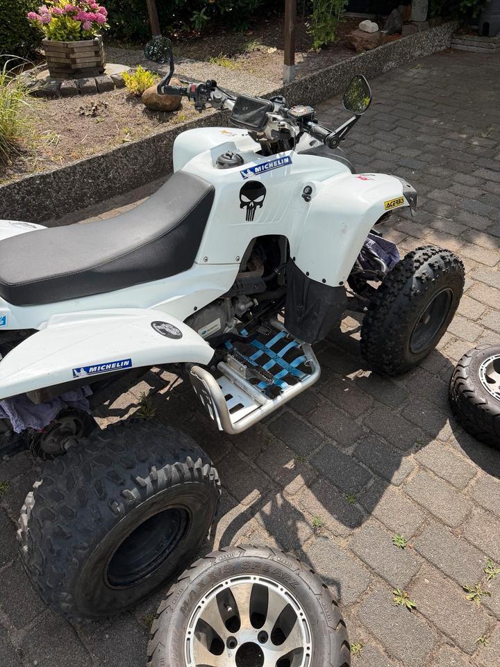 Weitere Motorräder Quad Beeline Bestia 5.5 (Adly,Polaris) Kein Can Am 2012 — салон