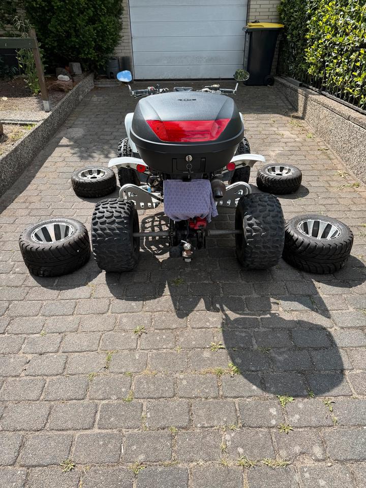 Weitere Motorräder Quad Beeline Bestia 5.5 (Adly,Polaris) Kein Can Am 2012 — двигун 500 ccm