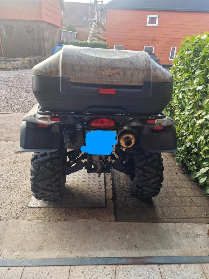 Suzuki Kingquad 750, Quad, ATV 2010 — photo 8