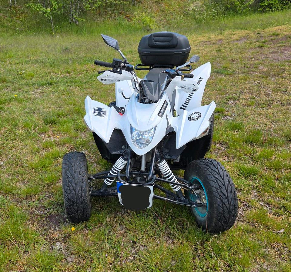 Weitere Motorräder Aeon Cobra 350 Quad 2010 — rear view