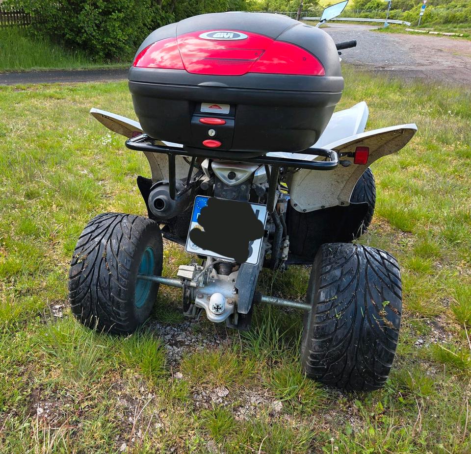 Weitere Motorräder Aeon Cobra 350 Quad 2010 — photo 6