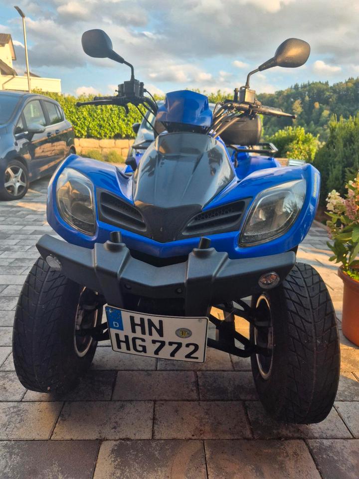 Kymco MXU 250 – Blaues Spaßgerät mit Gepäckabteilung 2009 — rear view