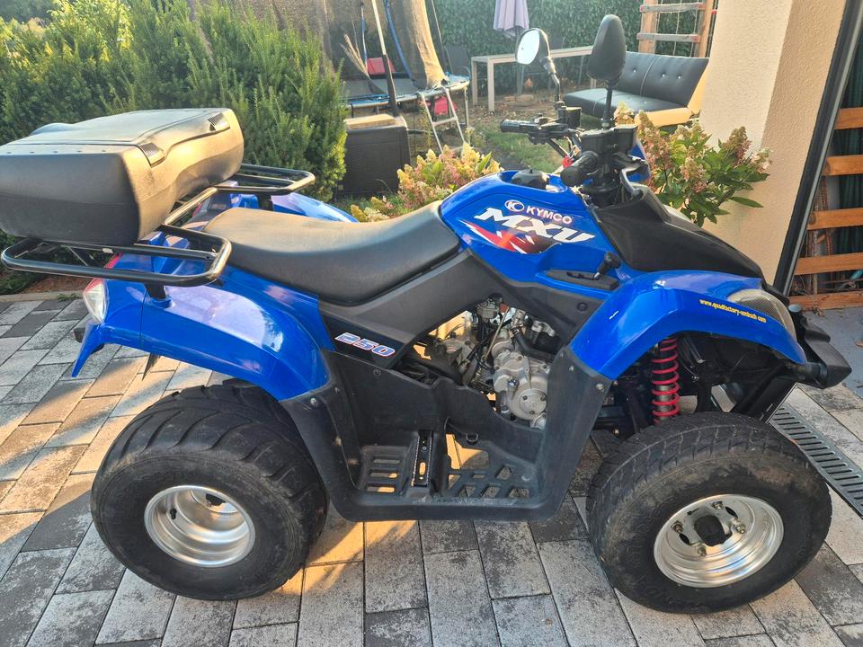 Kymco MXU 250 – Blaues Spaßgerät mit Gepäckabteilung 2009 — interior