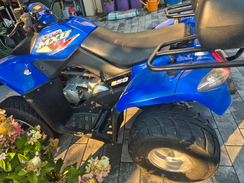 Kymco MXU 250 – Blaues Spaßgerät mit Gepäckabteilung 2009 — photo 5