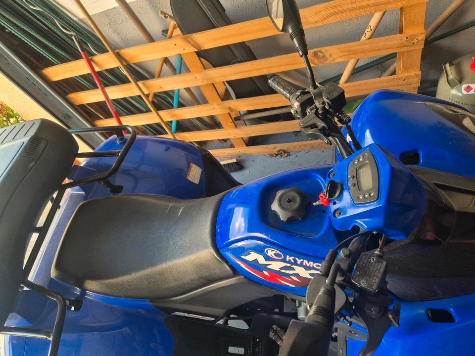 Kymco MXU 250 – Blaues Spaßgerät mit Gepäckabteilung 2009 — photo 7