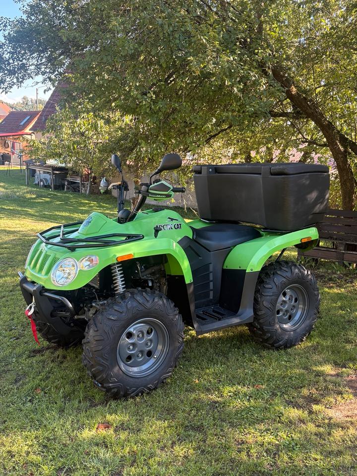 Weitere Motorräder Quad/Atv Arctic Cat 400 4x4 2009 — rear view