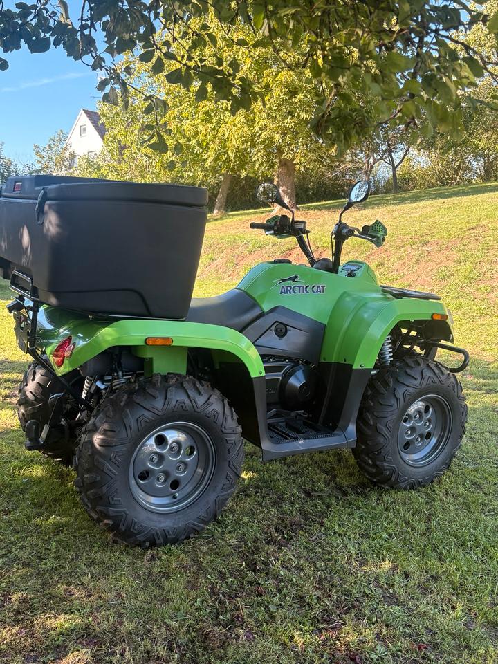 Weitere Motorräder Quad/Atv Arctic Cat 400 4x4 2009 — engine 400 ccm