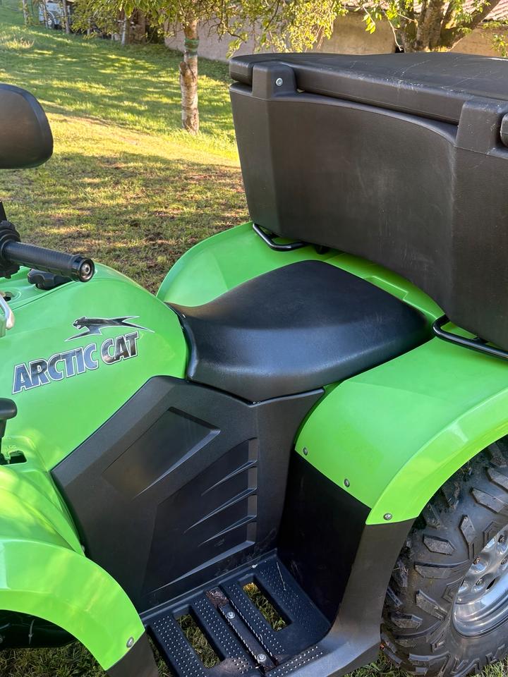 Weitere Motorräder Quad/Atv Arctic Cat 400 4x4 2009 — photo 9