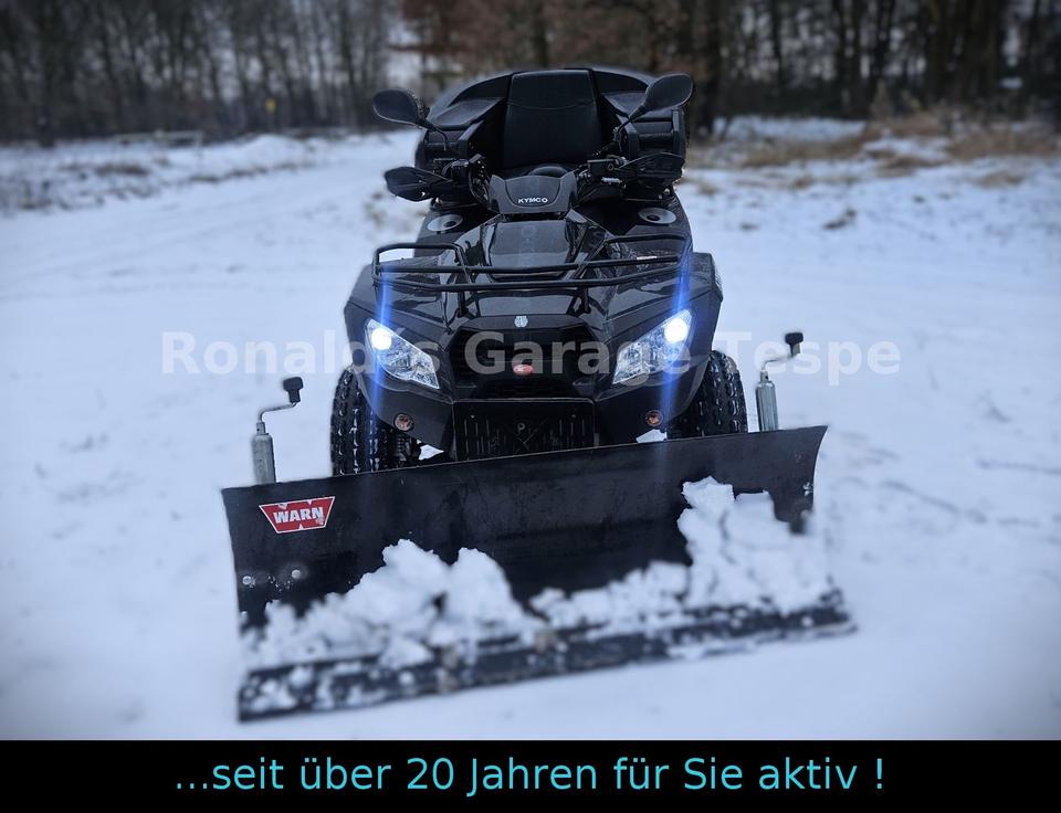 Kymco MXU 300R - tolle Ausstattung - Tüv 09/2027 2015 — rear view