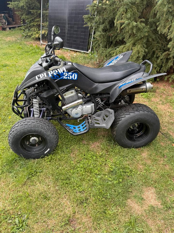 Weitere Motorräder CPI XS 250 BJ2010 ATV ähnlich KYMCO 2010 — interior
