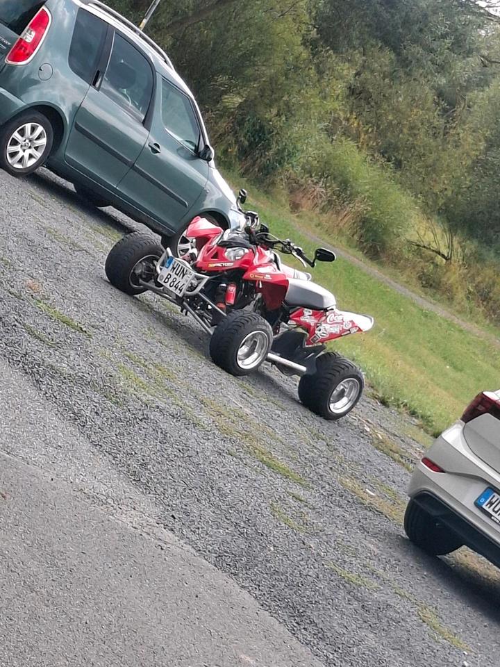 Weitere Motorräder Polaris outlaw 450er KTM motor 2009 — photo 17