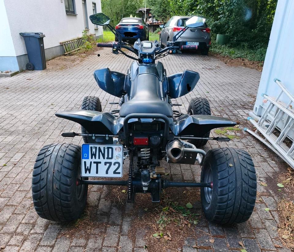  Dinli 450 Special LOF Quad 2015 — rear view