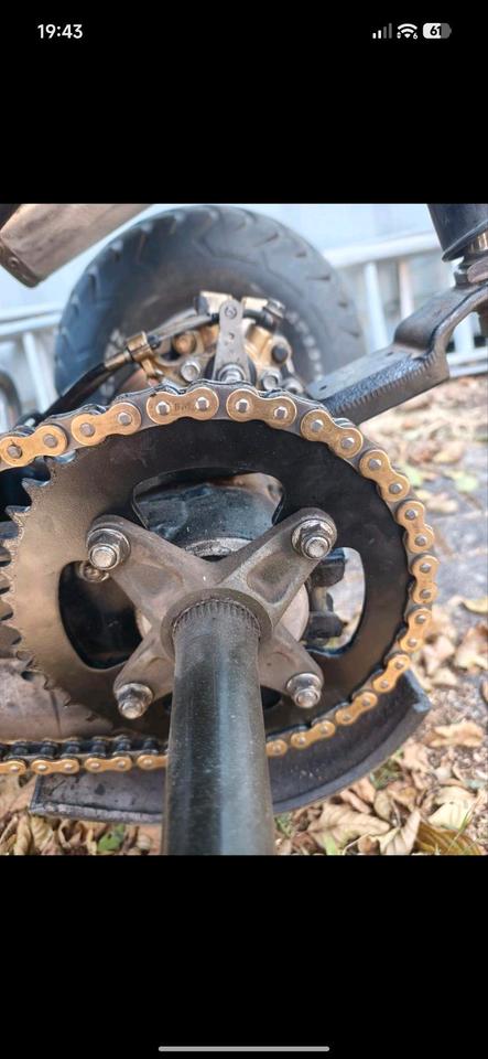  Dinli 450 Special LOF Quad 2015 — photo 5