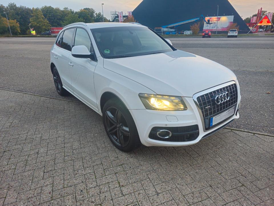 Audi Q5 2009 — rear view