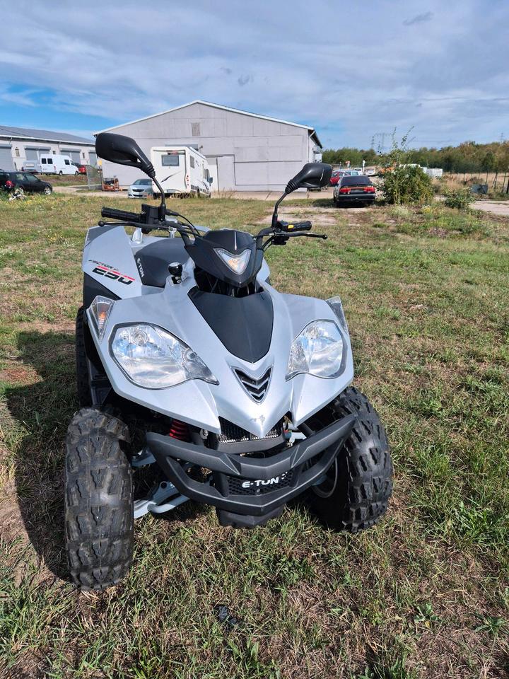 Weitere Motorräder Quad E-Ton Vector 250st neuer TÜV, 2006