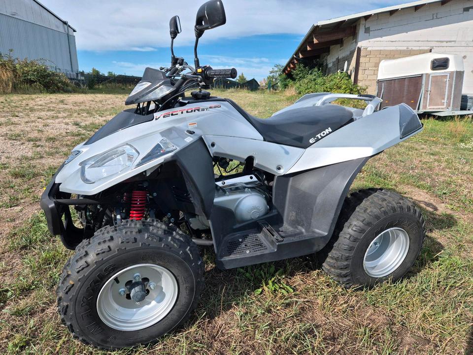 Weitere Motorräder Quad E-Ton Vector 250st neuer TÜV 2006 — rear view