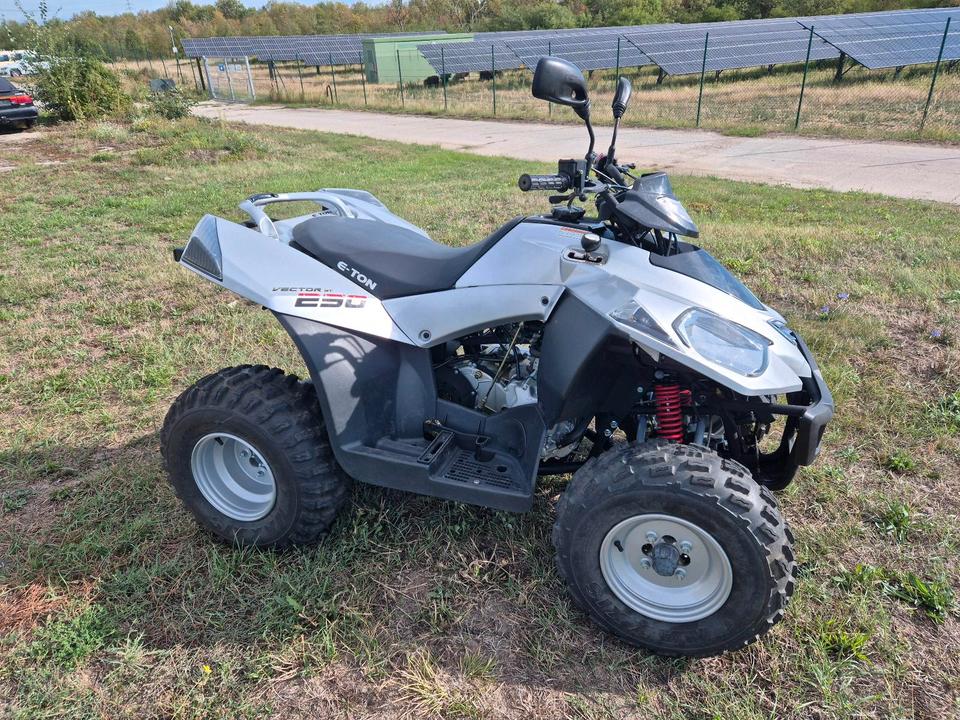 Weitere Motorräder Quad E-Ton Vector 250st neuer TÜV 2006 — interior