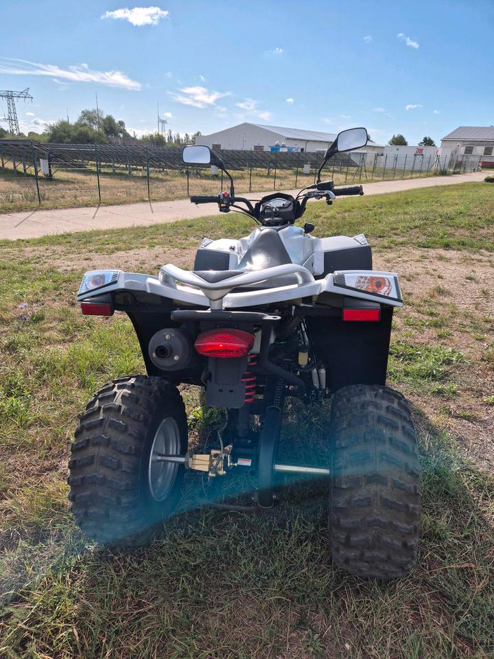 Weitere Motorräder Quad E-Ton Vector 250st neuer TÜV 2006 — engine 250 ccm