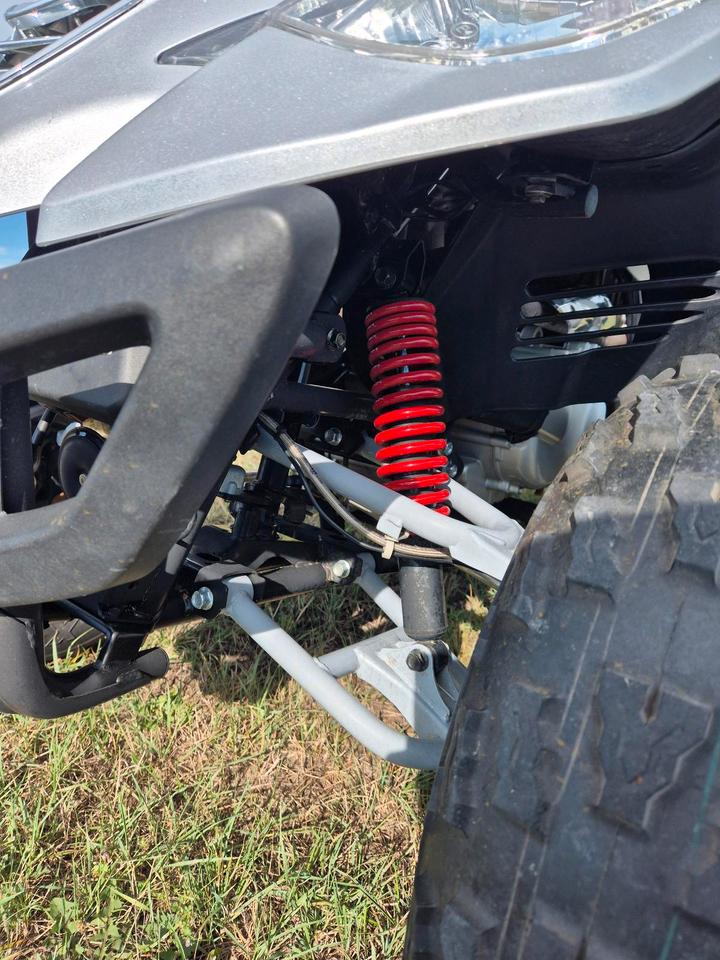 Weitere Motorräder Quad E-Ton Vector 250st neuer TÜV 2006 — photo 7