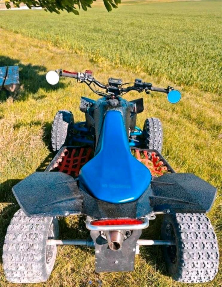 Suzuki Quad Suzuki LTR Quadracer 450 ccm 2007 — interior