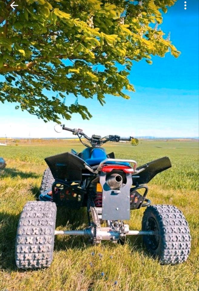 Suzuki Quad Suzuki LTR Quadracer 450 ccm 2007 — engine 450 ccm