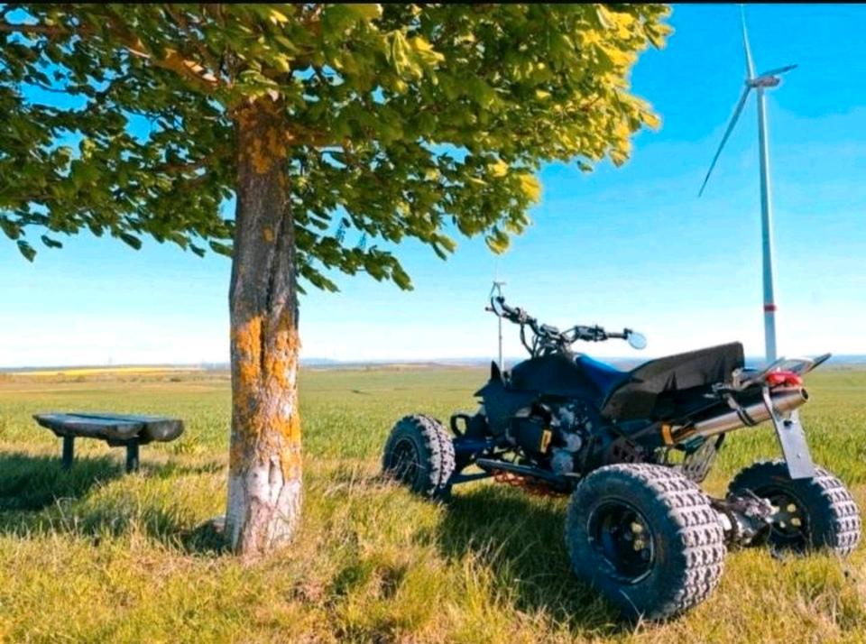 Suzuki Quad Suzuki LTR Quadracer 450 ccm 2007 — photo 5