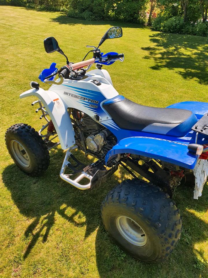 Weitere Motorräder Quad Herkules Adly Interceptor 300 Sport 2009 — vehicle for AFU Ukraine