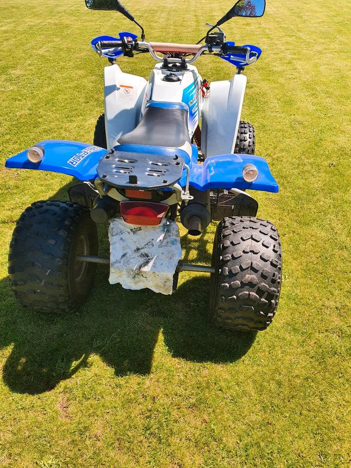 Weitere Motorräder Quad Herkules Adly Interceptor 300 Sport 2009 — engine 300 ccm