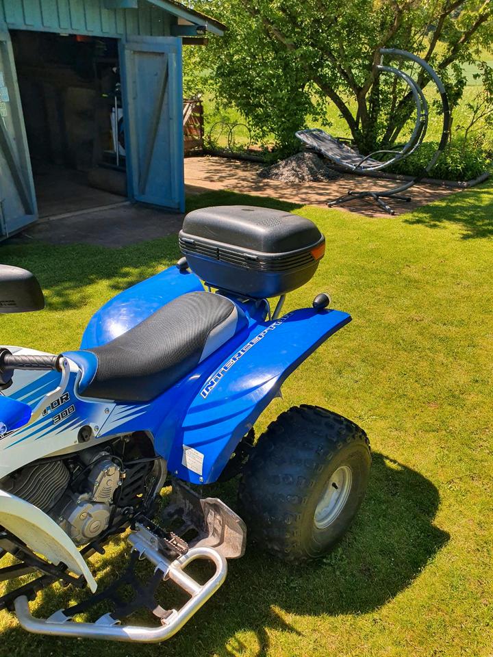 Weitere Motorräder Quad Herkules Adly Interceptor 300 Sport 2009 — photo 6