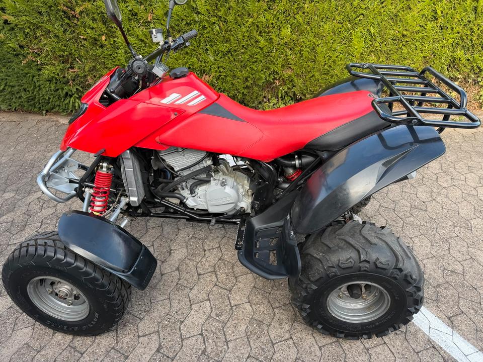 Weitere Motorräder Bombardier - Can Am DS 650 Quad 2004 — rear view