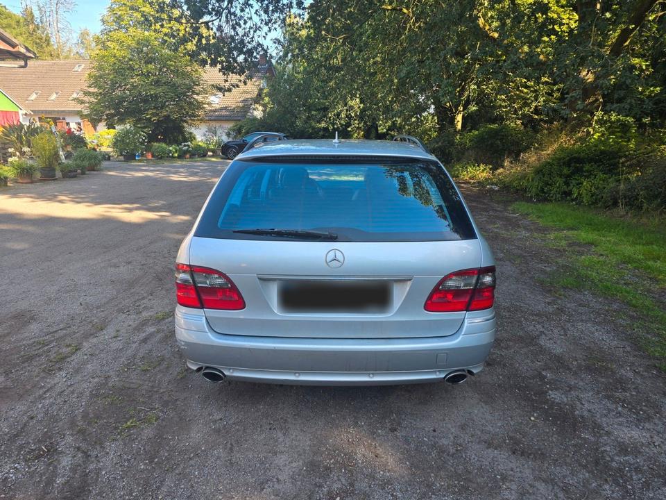 Mercedes Benz E 320 2008 — rear view
