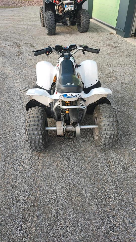 Weitere Motorräder Gelöscht • AEON MINIKOLT 50ccm 2 TAKT KINDERQUAD, TOP ZUSTAND 2010 — interior