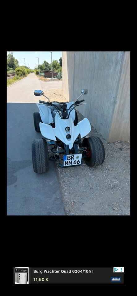 Weitere Motorräder Quad 250ccm Zenhua 2010 — rear view