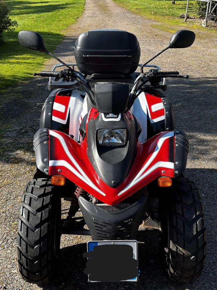 Gelöscht • Quad Aeon 180 ccm 2008 — rear view