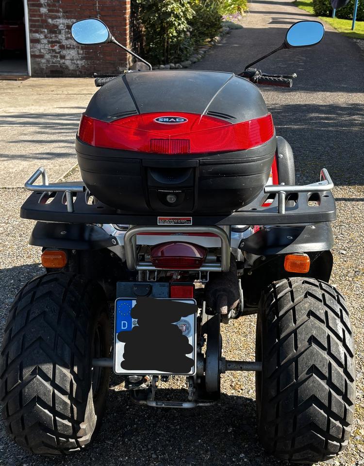  Gelöscht • Quad Aeon 180 ccm 2008 — interior