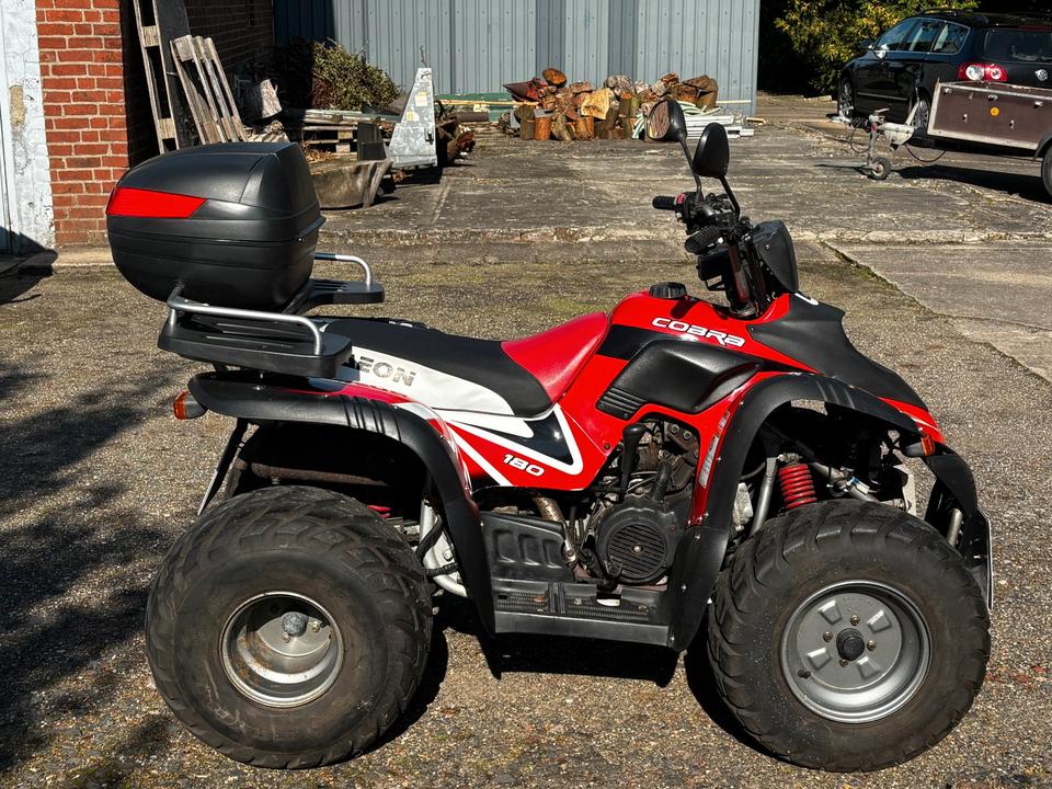  Gelöscht • Quad Aeon 180 ccm 2008 — photo 5