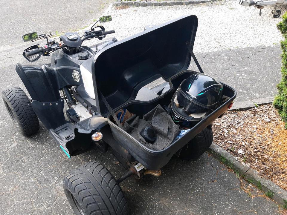 Weitere Motorräder Aeon Cobra 350 400 Sport Quad Automatik 2008 — rear view
