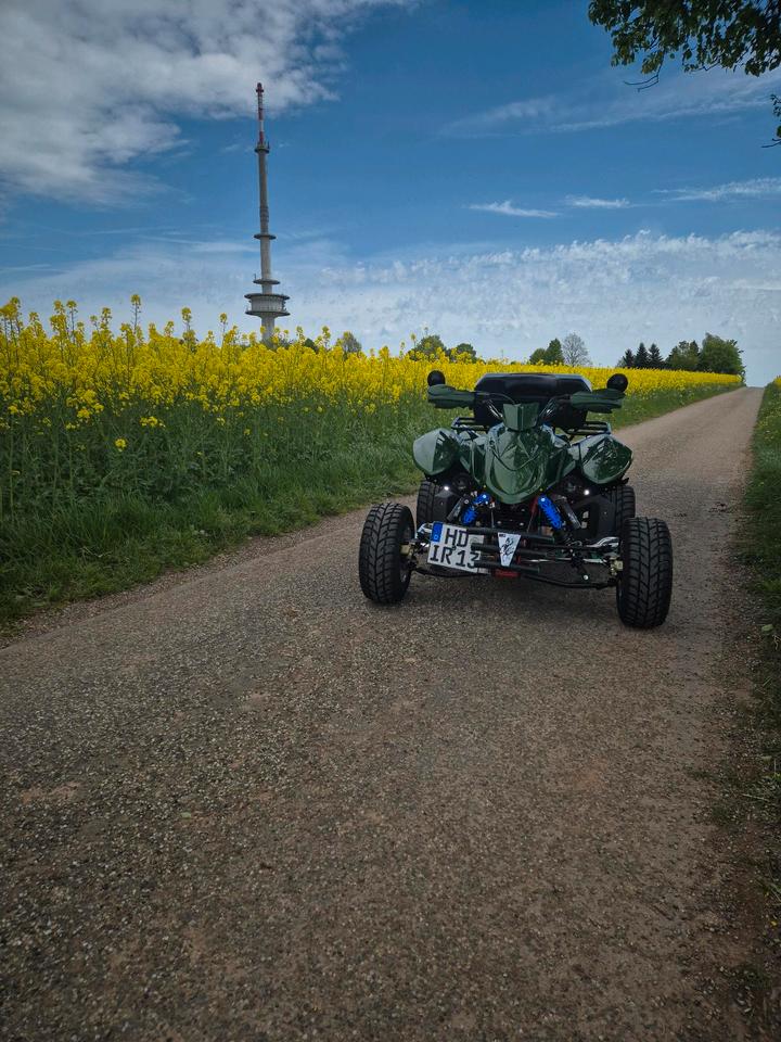 Weitere Motorräder Quad Triton 450SM 2013 — салон