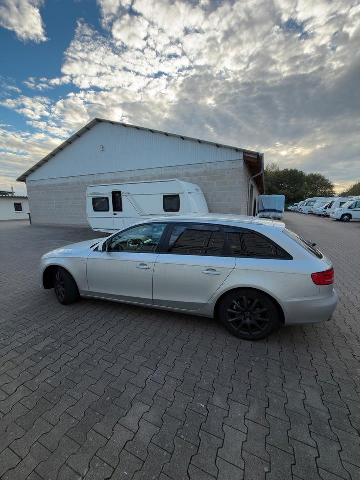 Audi A4 2008 — вигляд ззаду