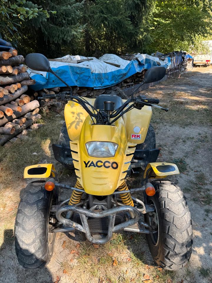 Weitere Motorräder Barossa SMC 250 Quad ATV Gelb 2006 — rear view