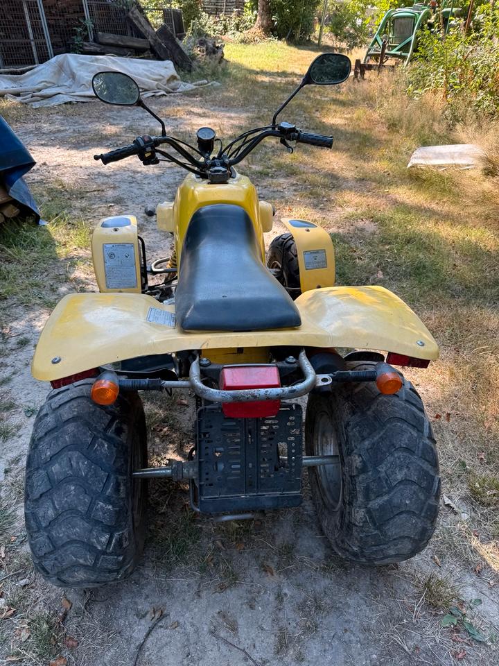 Weitere Motorräder Barossa SMC 250 Quad ATV Gelb 2006 — engine 250 ccm