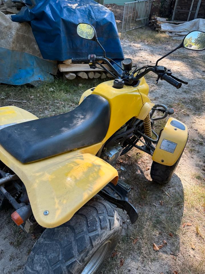 Weitere Motorräder Barossa SMC 250 Quad ATV Gelb 2006 — photo 5