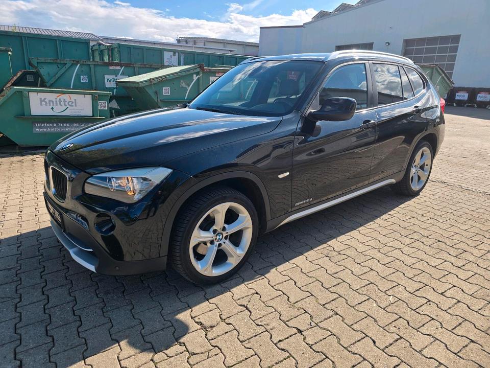 BMW X1, 2010
