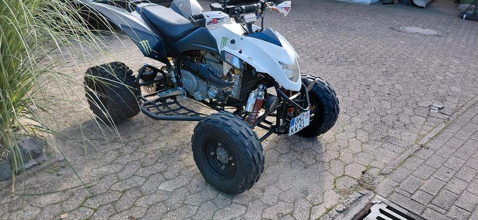 Weitere Motorräder SMC 520 Explorer Trasher Sport Quad Monster 2015 — engine 520 ccm